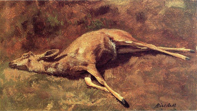 Albert Bierstadt A Native of the Woods Germany oil painting art